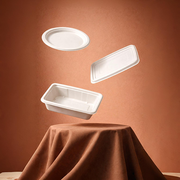 Eco-friendly bagasse bowl with fresh salad